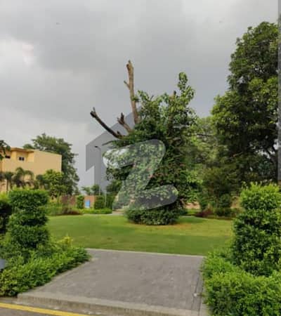 10 MARLA PLOT IN DREAM GARDENS LAHORE.