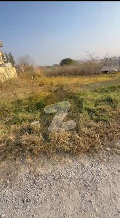 Investor rate Plot available for sale in F-15/1 Islamabad