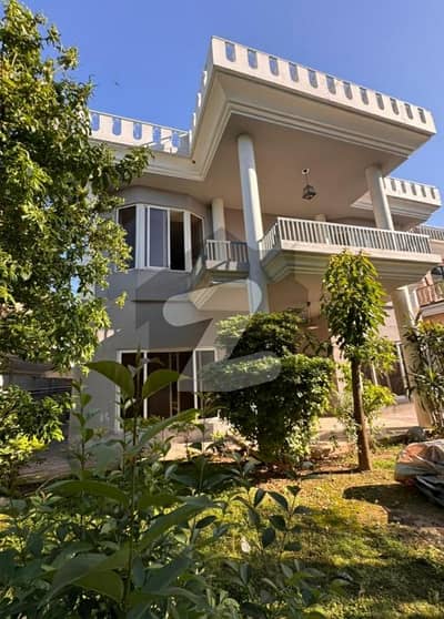F-10 Full Full Renovated House Available For Rent ideal location