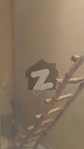 41 