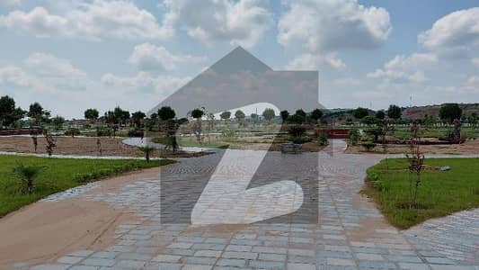 Dha 6 sector B3 street 119B cutting area Back open very good location i have together plots