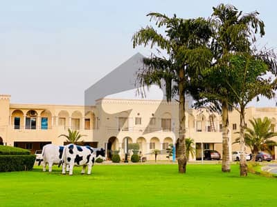 8 Marla Exclusive Park-Facing Plot in C Block Phase 2 Premium Location Opportunity