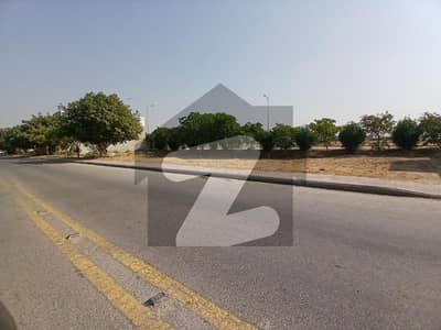 272 Square Yards Plot In Populated Street Of P1