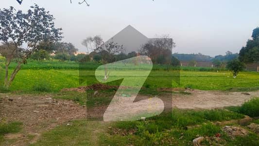 بیدیاں روڈ لاہور میں 16 کنال رہائشی پلاٹ 16.0 کروڑ میں برائے فروخت۔
