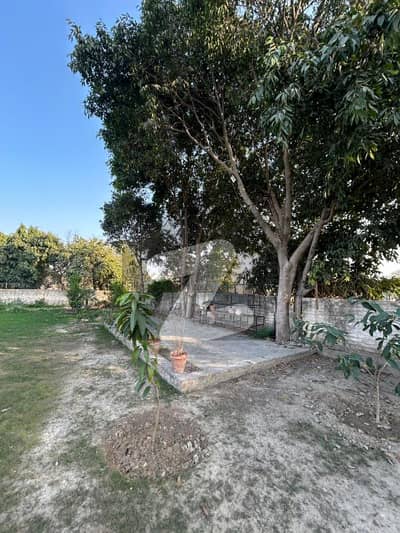 1 Kanal Agricultural Land For Sale On Bedian Road, Lahore