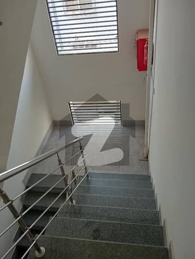 Like Brand New Apartment For Rent