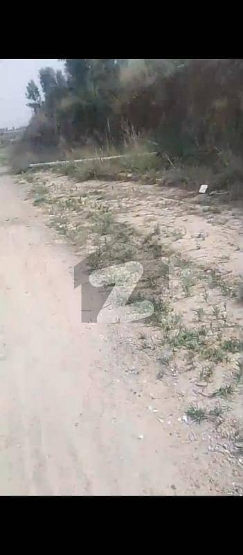 i-15/2 25x50 plot available for sale near markaz double road