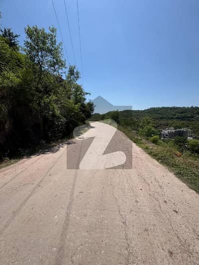 5 Marla plot for sale bani gala