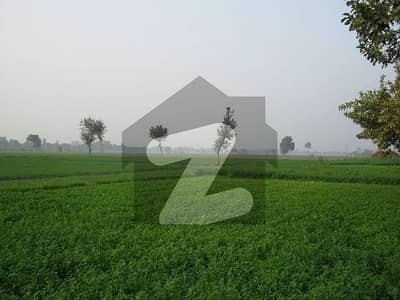 شیخوپورہ مُرِيدكے روڈ شیخوپورہ میں 28 کنال صنعتی زمین 7.88 کروڑ میں برائے فروخت۔