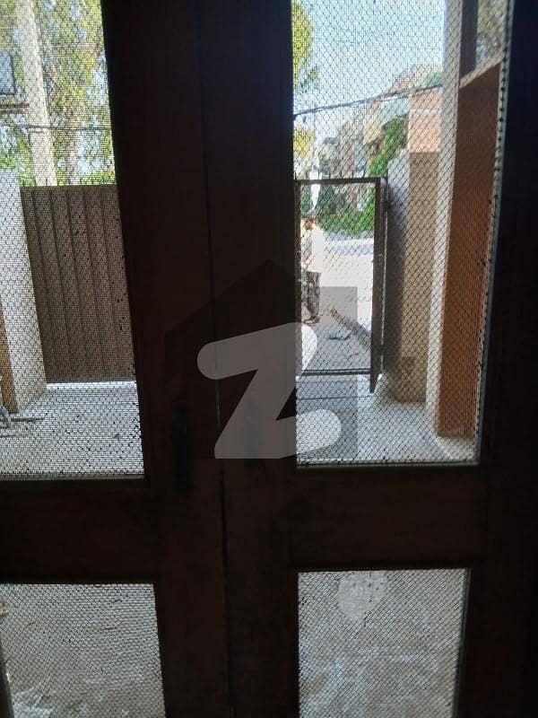 20 
