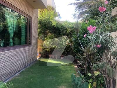 Well Maintained 500 Yards House For Sale DHA Phase 6