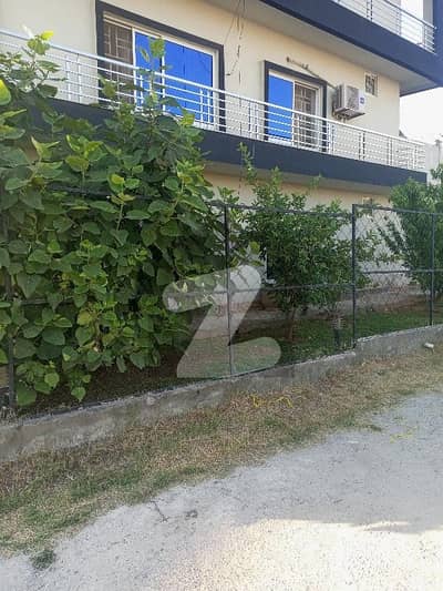 10 Marla Lower Ground For Rent