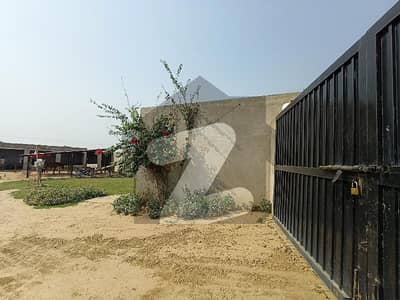 Farm House For Sale In Main Sue Asal Road