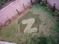 20 