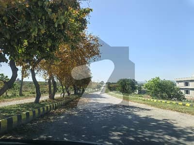10 Marla Plot For Sale In C Block | 60 Feet Road | Prime Location
