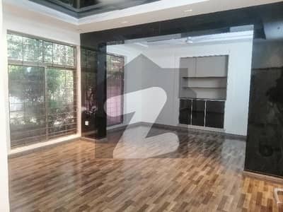 Renovated House