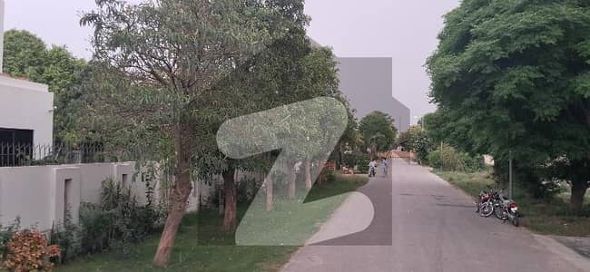 Phase 7 Y block Near Park And Main Road