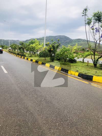 35x70 Top Location Plot Available For Sale In D-12/4.