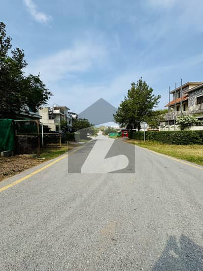 40x80 Front Open Plot For Sale In D-12.