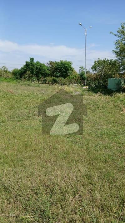 10 Marla Plot For Sale In Sector D-12/2