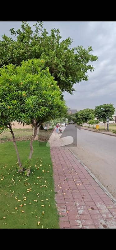 Back Open Plot With Huge Extra Land For Lawn At Back The Constructabl