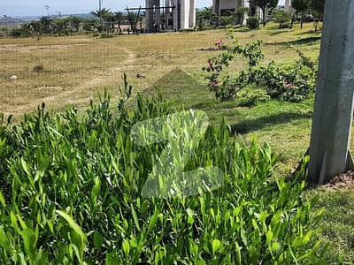 Plot For Sale