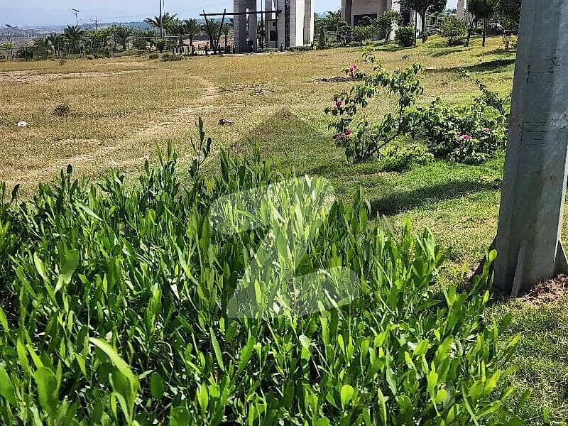 Plot For Sale Plot For Sale