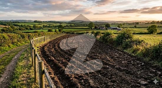 32 Marla Plot For Sale