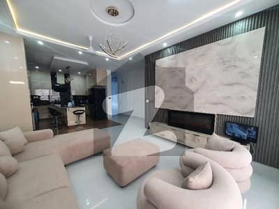 Brand new | Solar | Ground and Open Basement is available for Rent
