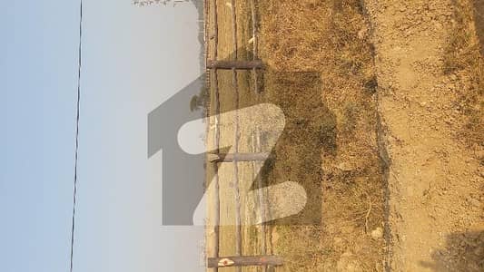 Solid Land