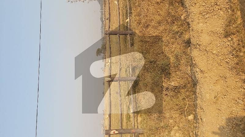 Solid Land Solid Land