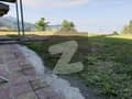 29 