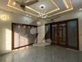 41 