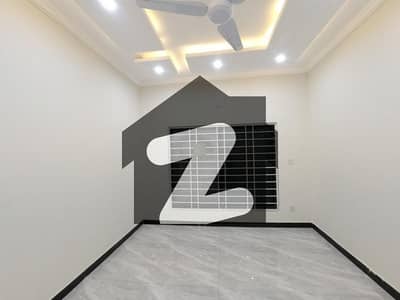 Centrally Located Ground Portion In D-12 Is Available For Rent