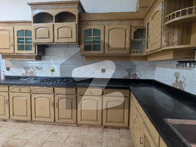 A Beautiful House For Rent In F11  Double Story House