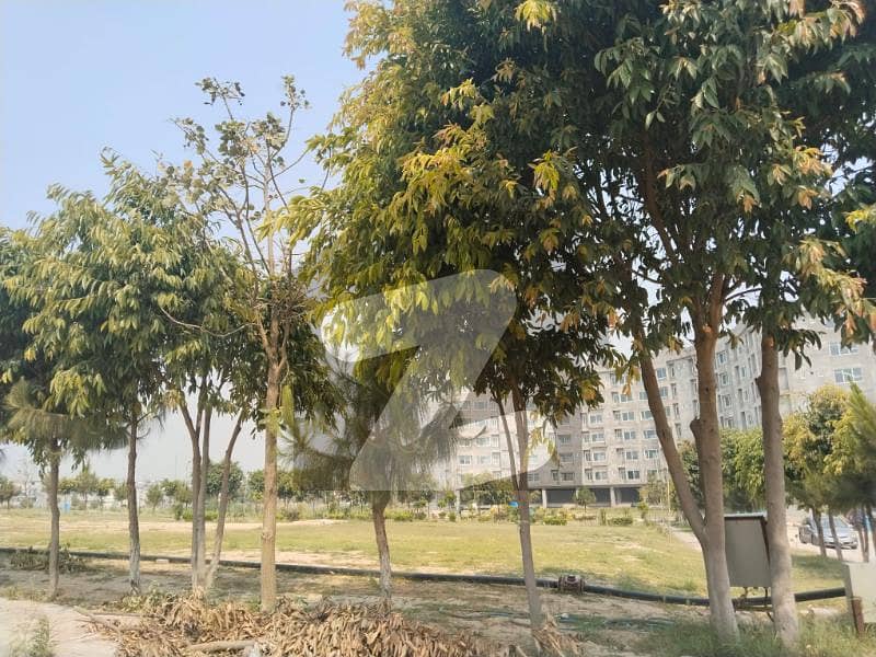 Plot For Sale Plot For Sale