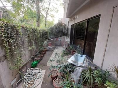 House Of 14 Marla Is Available For rent In Gulberg