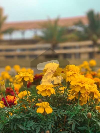 Become Owner Of Your Prime Location Residential Plot Today Which Is Centrally Located In Naya Nazimabad - Block A In Karachi