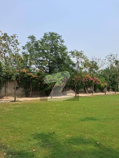 8 Kanal Commercial Plot For Rent Prime Location Plot Available For Rent Near DHA Phase 7 Lahore Z2 Entrance On Bedian Road, Lahore Cantt.