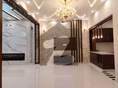 Brand New 7 Marla Ground Portion For Rent | Prime Location in Gulberg Residencia