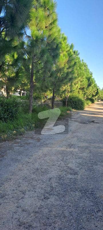 C Block 5 Kanal Heighted Location Plot Available For Sale At Investor Rate