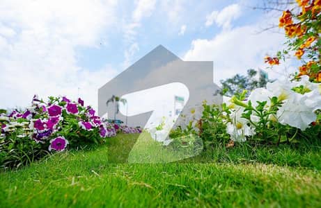 SECTOR D KANAL PLOT NEAR 120ft ROAD