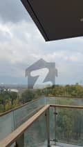 7 7
