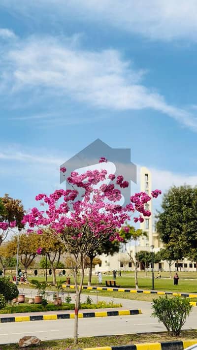 Spacious 14 Marla (40x80) Upper Portion For Rent Faisal Town (F-18), Islamabad