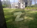 37 
