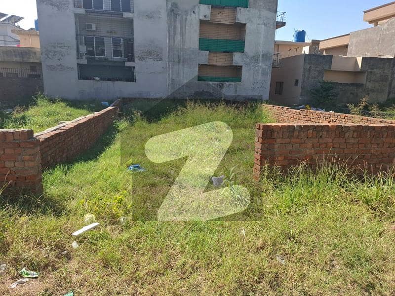 6 6