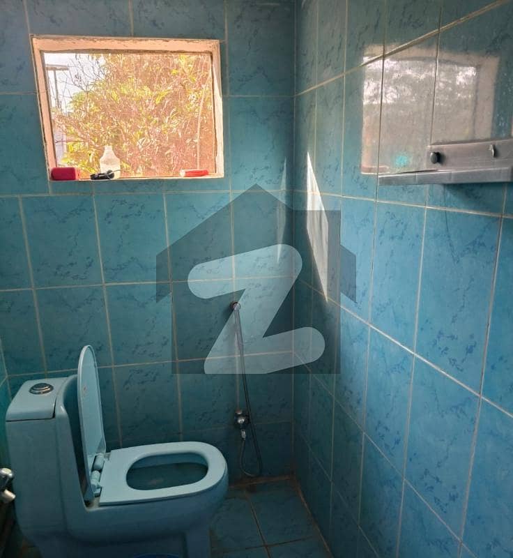 20 
