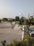 20 20