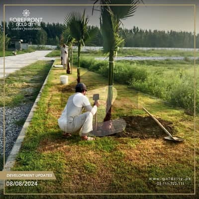5 Marla Plot Available At Block F