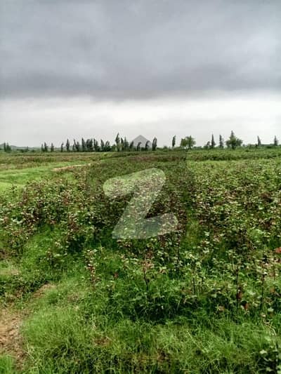 Nadran bypass  Hamdard University near hub dam main road hub river  Nahar ka Pani  Sabji kapas gandum   cattle farm poultry farm  200 feat boring  Main road  Hamdard University se 3 kilometer aage  From 7 agriculture land